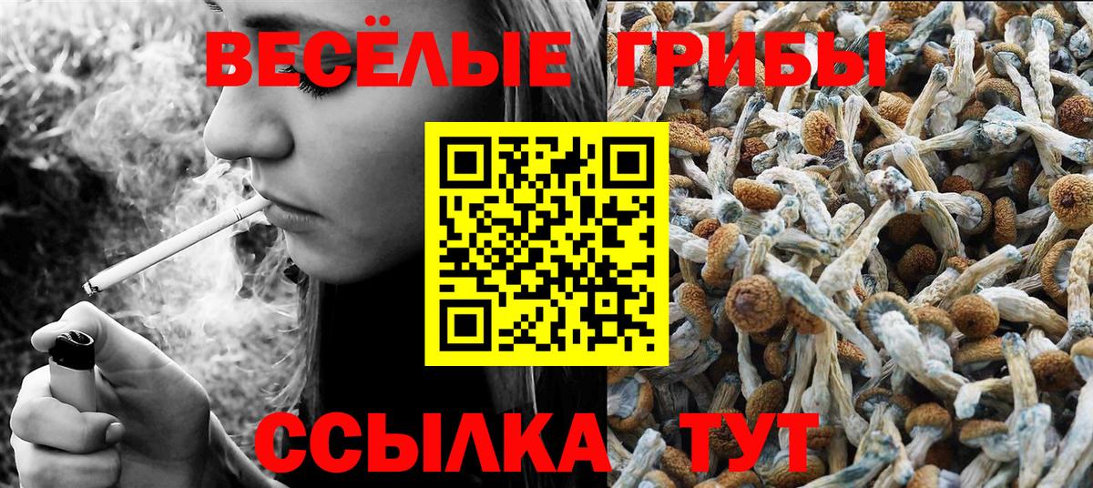 дарнет шоп  Псилоцибиновые грибы Magic Shrooms  Вход с VPN  Трёхгорный  Галлюциногенные грибы Psilocybe 
